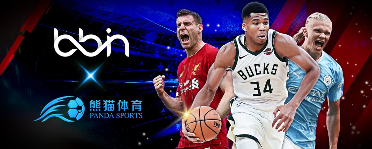 能与文化紧